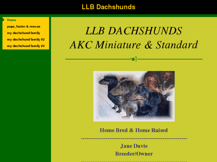 www.llbdachshunds.com