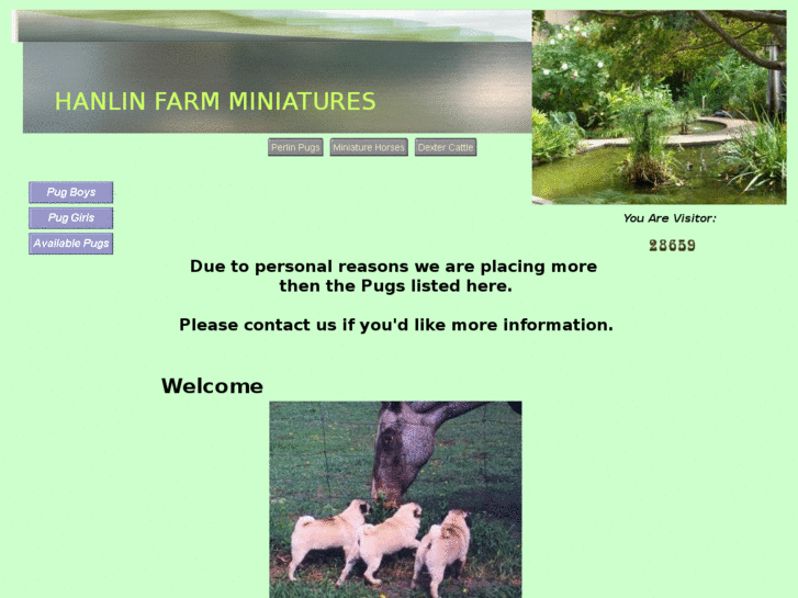 www.perlinpugs.com