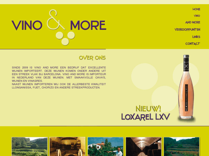 www.vinoandmore.com