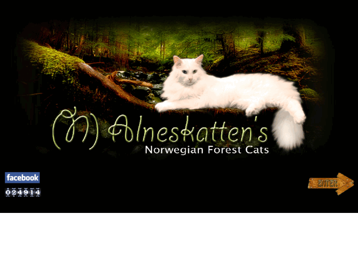 www.alneskatten.com