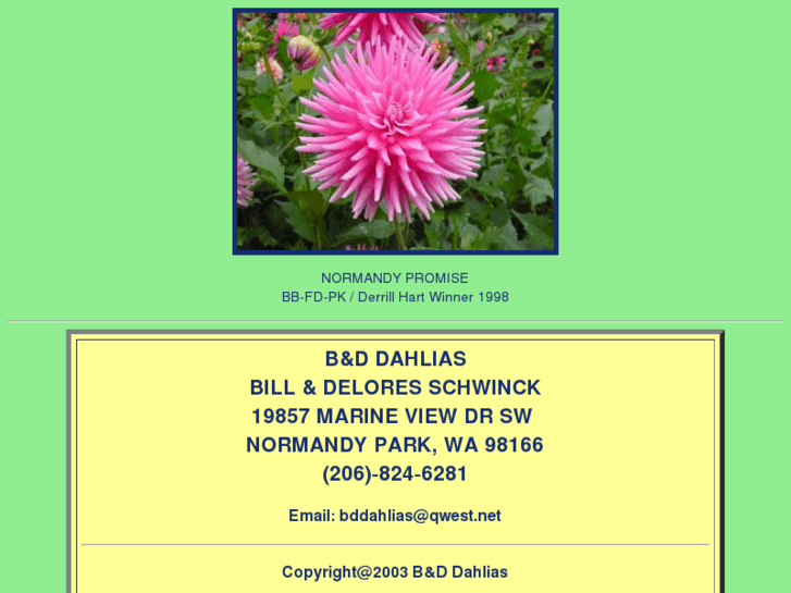 www.bddahlias.com