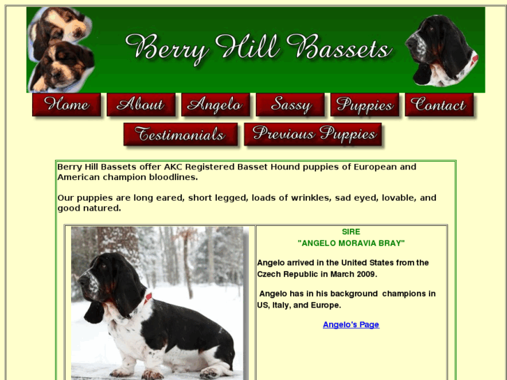 www.berryhillbassets.com