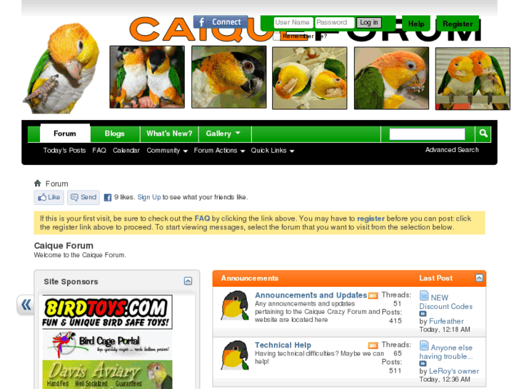 www.caiqueforum.com