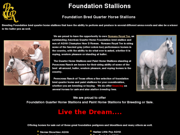 www.foundationstallions.com