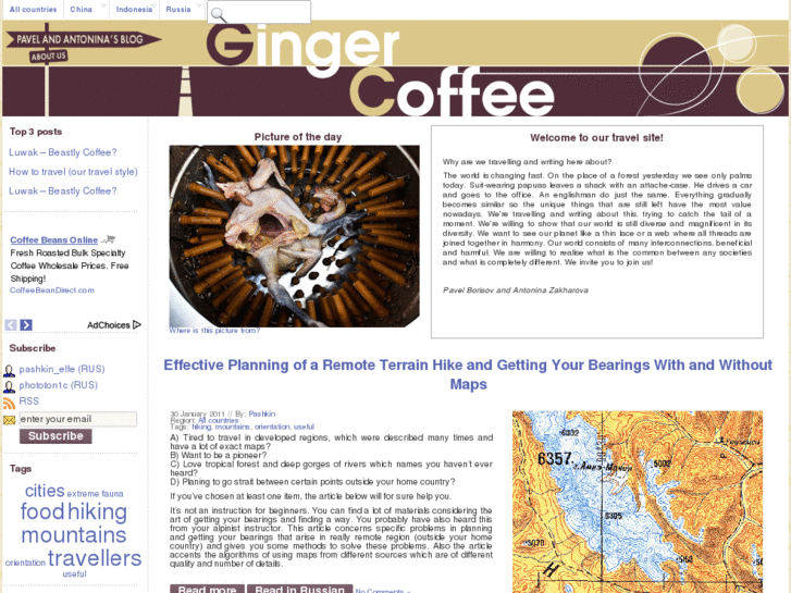 www.gingercoffee.com