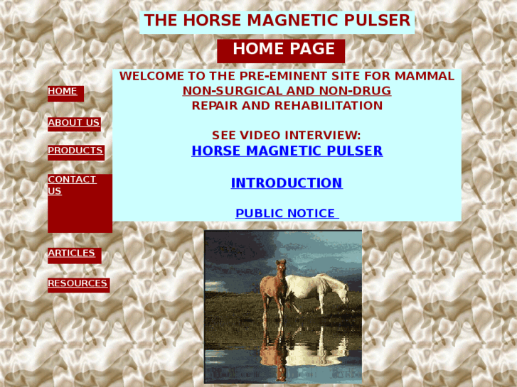 www.horsemagneticpulser.com