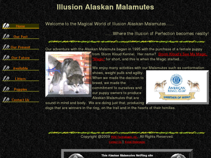 www.illusionkennel.com