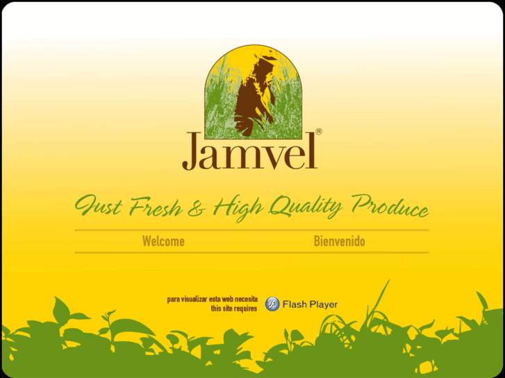 www.jamvel.com