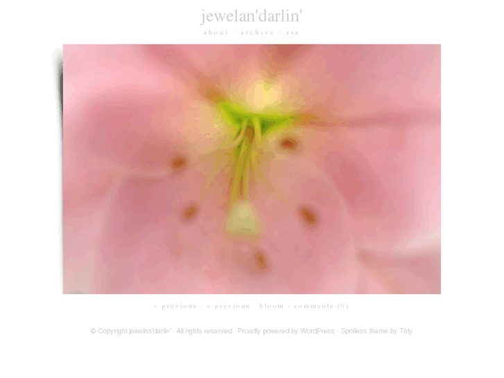 www.jewelandarlin.com