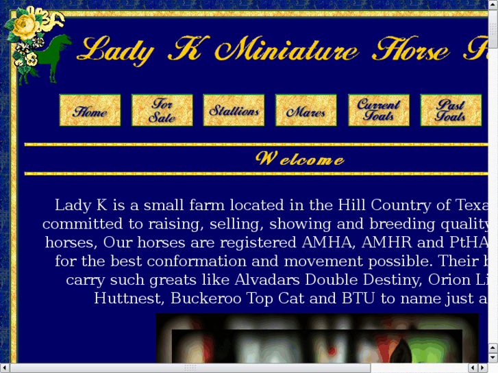 www.ladykminiatures.com