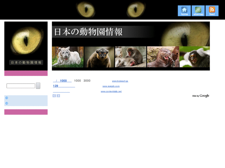 www.nihon-zoo.com