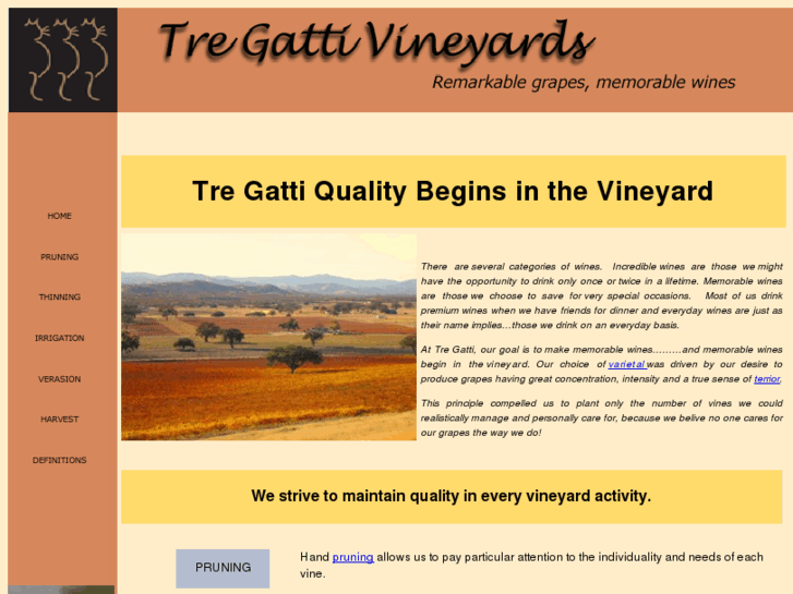 www.tregattivineyards.biz