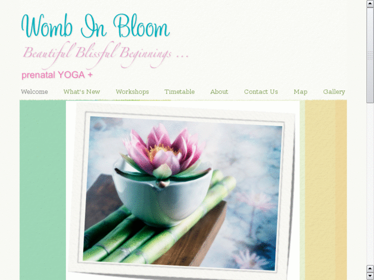 www.wombinbloom.com