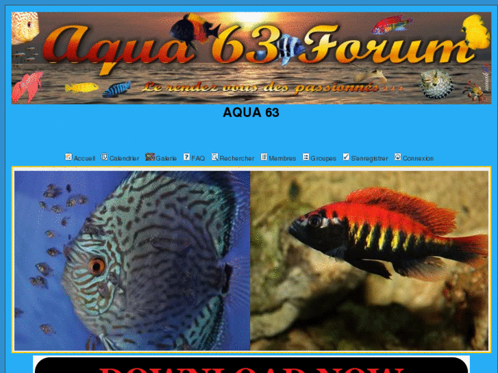 www.aqua63.com