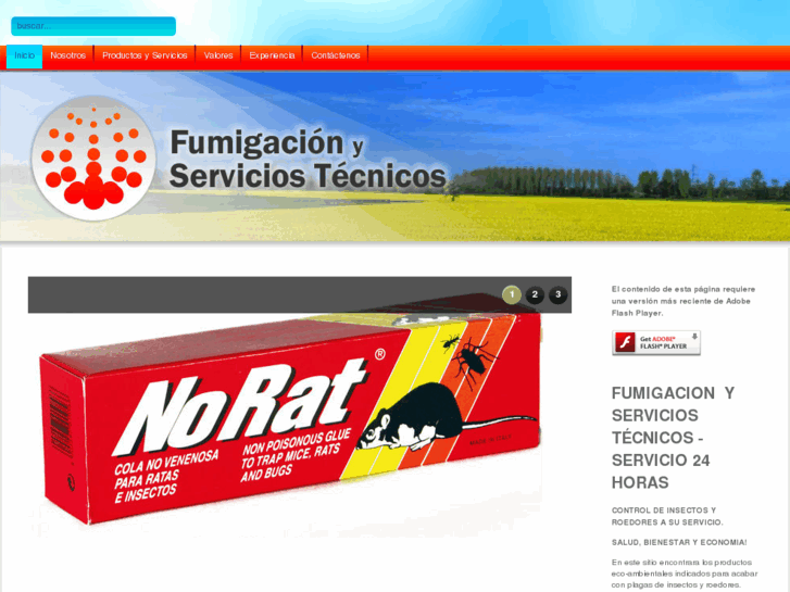 www.fumigacionyserviciostecnicos.com