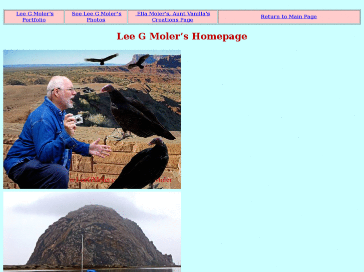 www.leegmoler.com