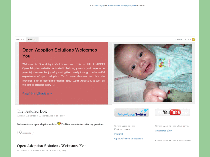 www.openadoptionsolutions.com