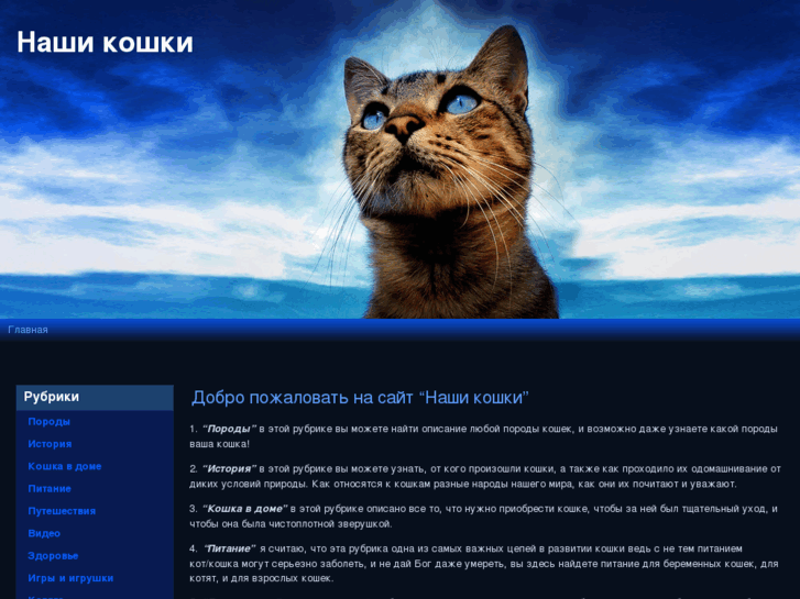 www.our-cats.ru