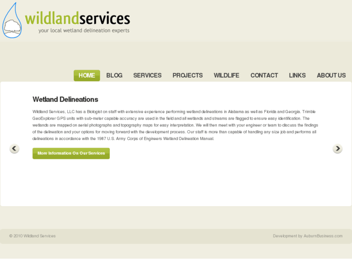 www.wetlandsdelineation.com
