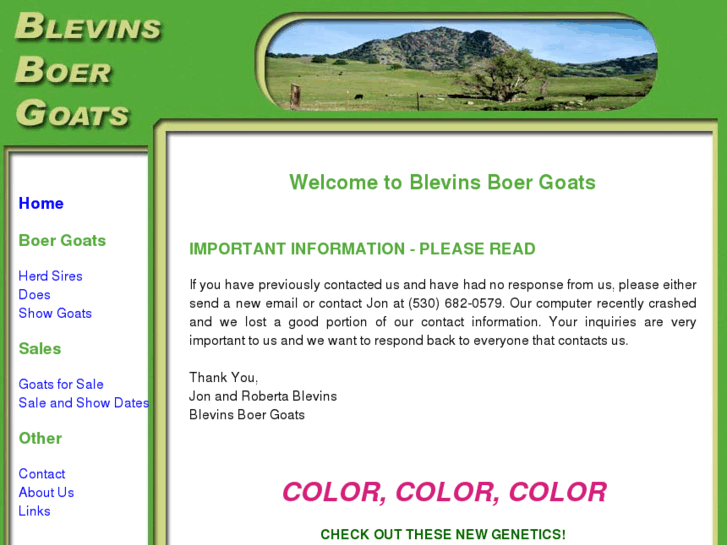 www.blevinsboergoats.com