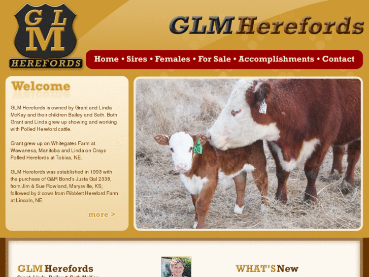 www.glmherefords.com