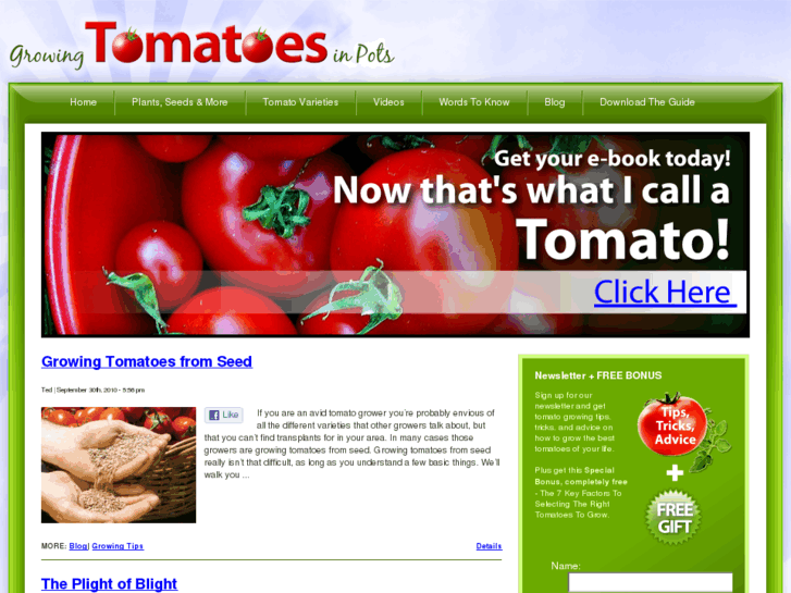 www.growing-tomatoes-in-pots.com