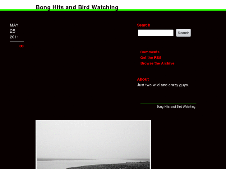 www.bonghitsandbirdwatching.com