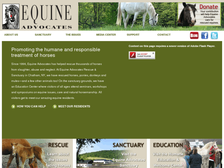 www.equineadvocates.org