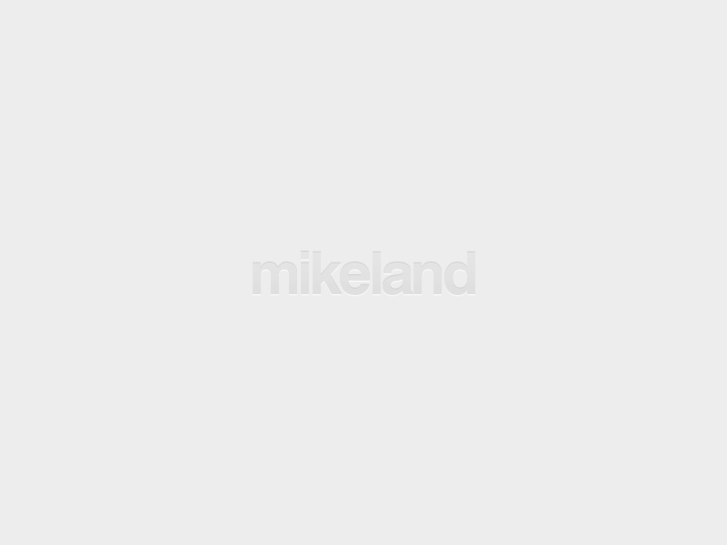 www.mikeland.net