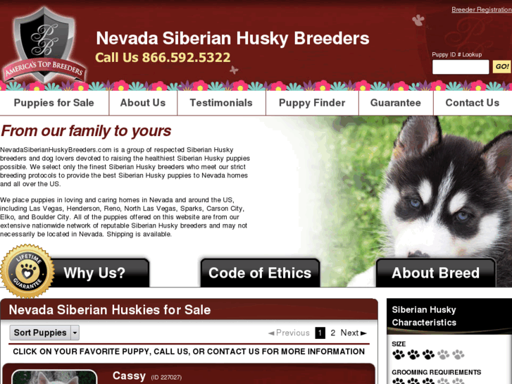 www.nevadasiberianhuskybreeders.com