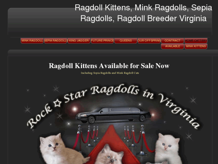 www.rockstarragdolls.com