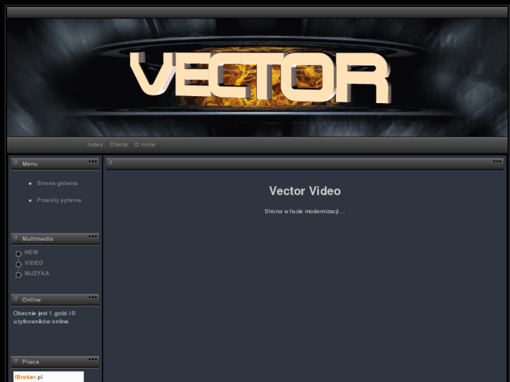 www.vectorvideo.pl