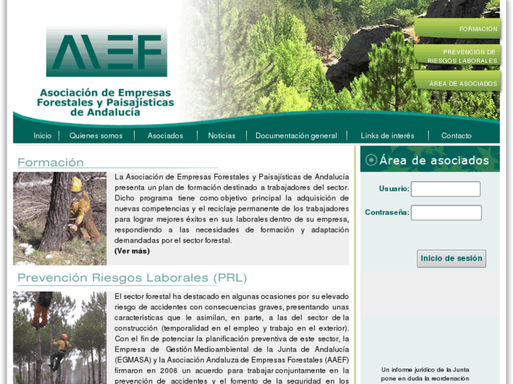 www.aaef.es