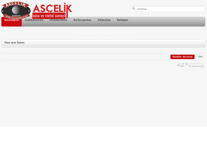 www.ascelikkasalari.com