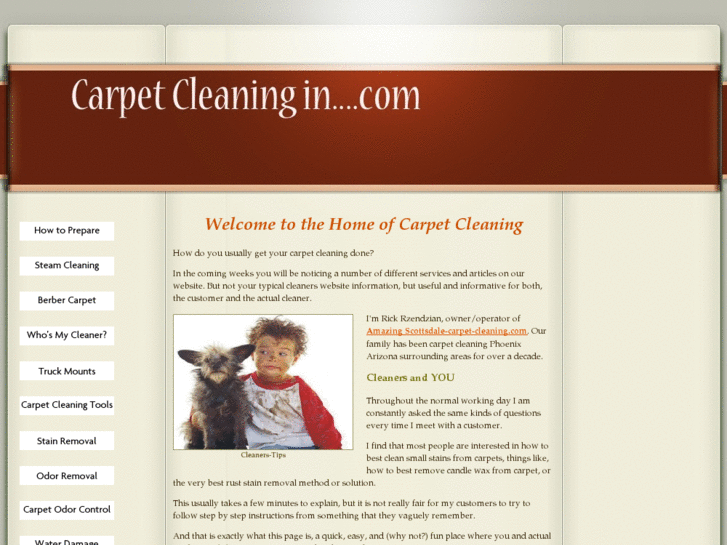 www.carpet-cleaning-in.com