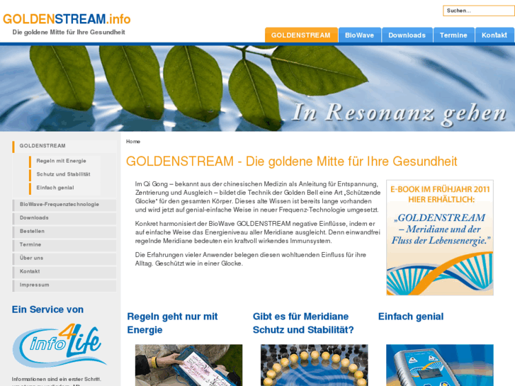 www.goldenstream.info