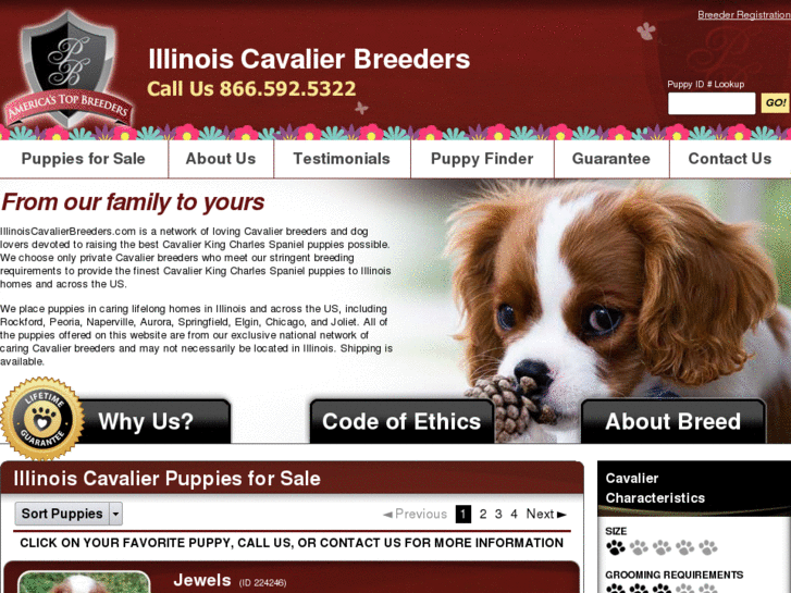 www.illinoiscavalierbreeders.com