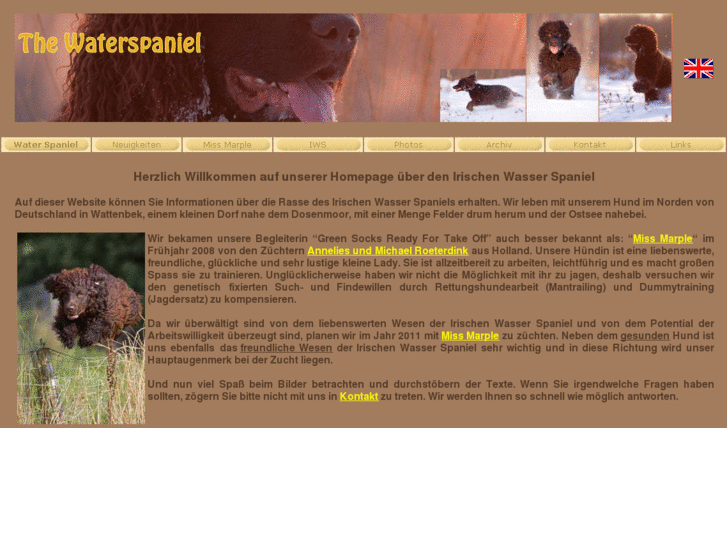 www.irishwaterspaniel.de