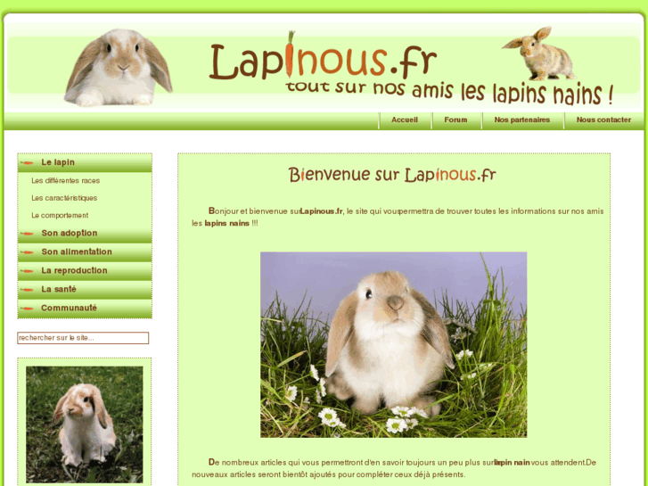 www.lapinous.fr