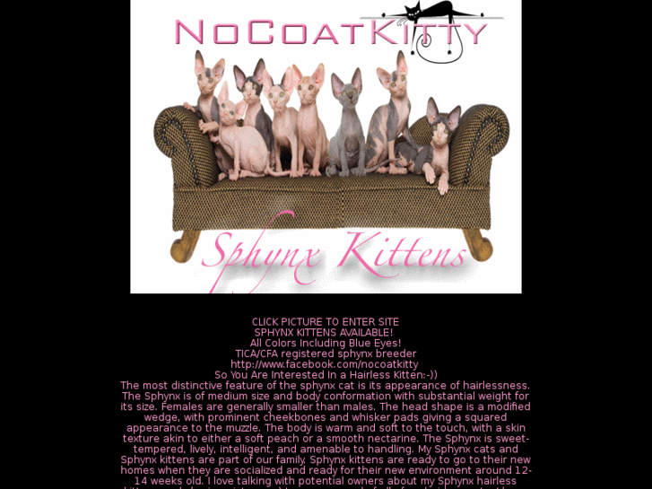 www.nocoatkitty.com