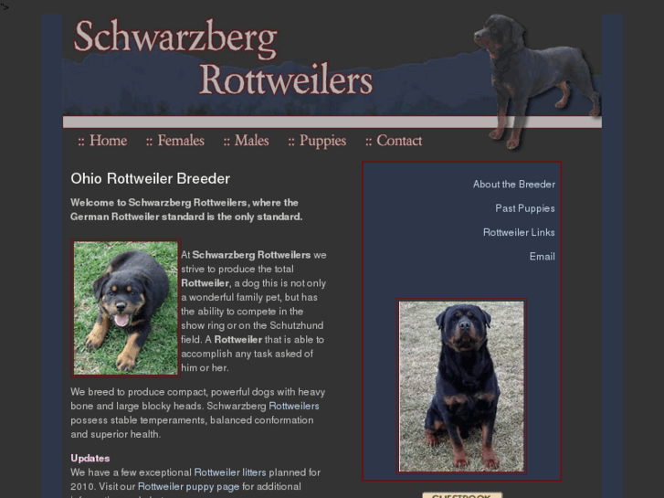 www.schwarzbergrottweilers.com