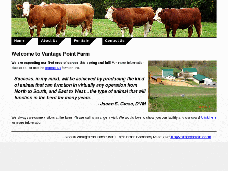 www.vantagepointcattle.com