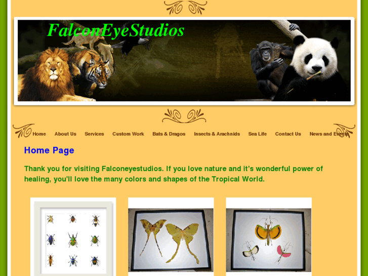 www.falconeyestudios.com