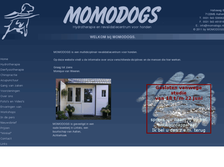 www.momodogs.nl