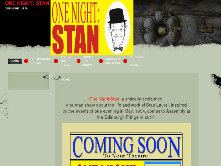 www.onenightstan.co.uk