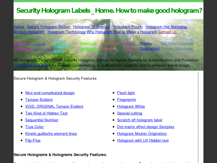 www.securityhologramlabels.com