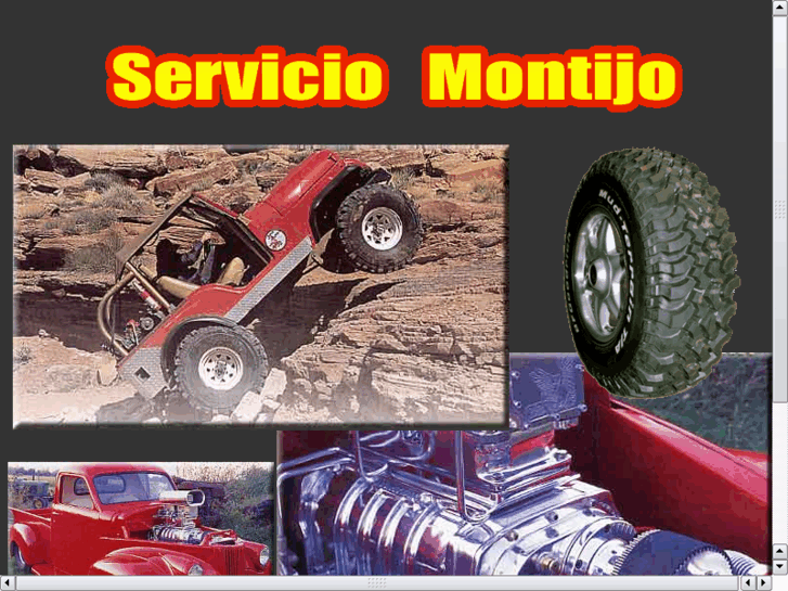 www.serviciomontijo.com