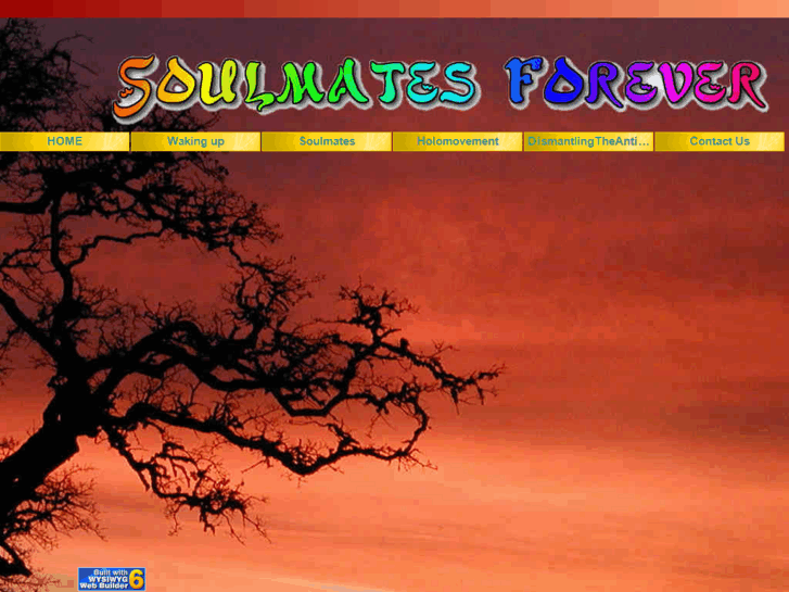 www.soulmatesforever.org