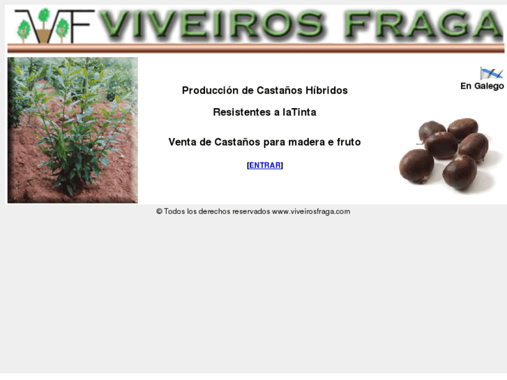 www.viveirosfraga.com