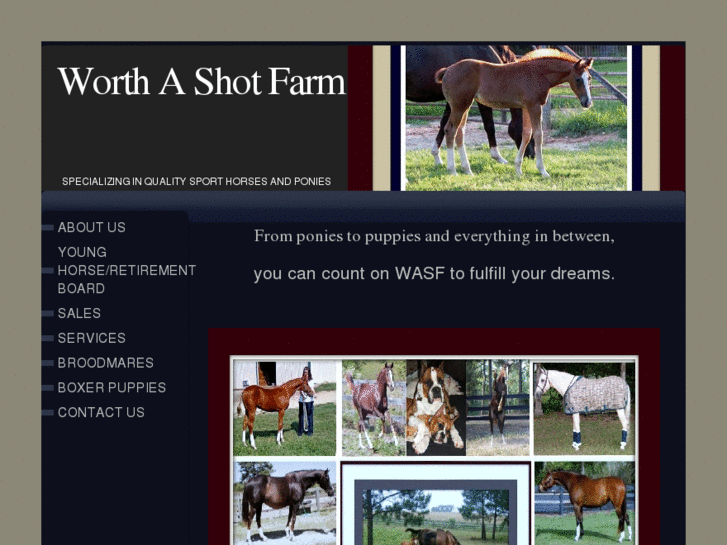 www.worthashotfarm.com